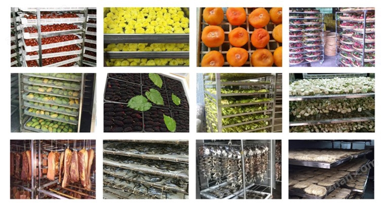 中科环保石家庄项目展现绿色能源魅力 引领区域低碳发展新标杆