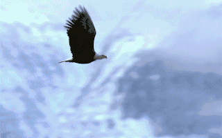 3月美国CPI同比大涨35%市场预期6月降息可能性下降