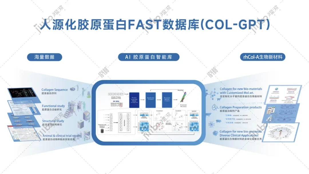 锦波生物“AI胶原智脑”入选2025年度制造业数字化转型典型案例