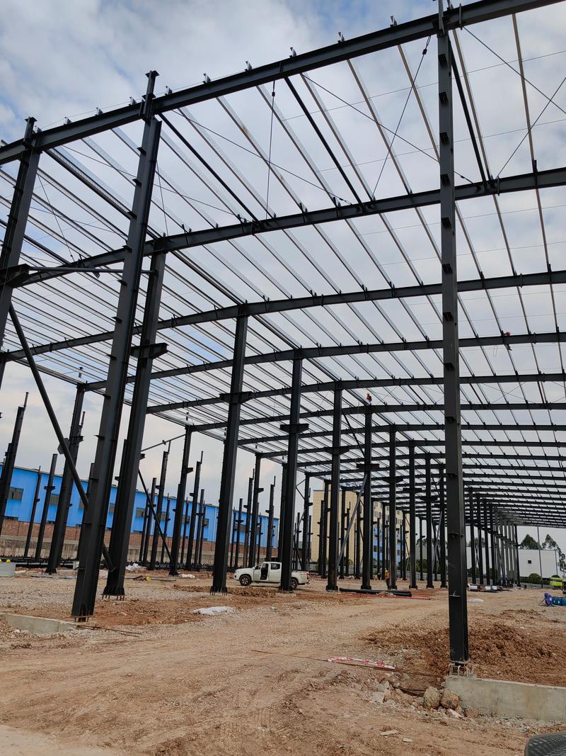 2026年Q12025年12月钢结构煤棚机构口碑推荐